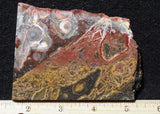 Galaxy Rhyolite Slab 256