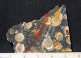 Galaxy Rhyolite Slab 249