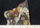 Galaxy Rhyolite Slab 276