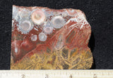 Galaxy Rhyolite Slab 259