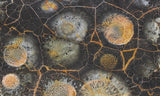 Galaxy Rhyolite Slab 251
