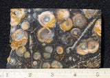 Galaxy Rhyolite Slab 251