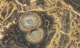 Galaxy Rhyolite Slab 258