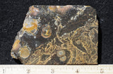 Galaxy Rhyolite Slab 258