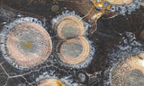 Galaxy Rhyolite Slab 266