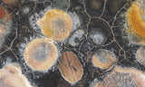 Galaxy Rhyolite Slab 263
