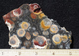 Galaxy Rhyolite Slab 263