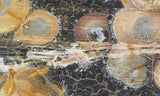 Galaxy Rhyolite Slab 269