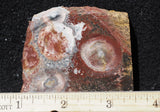 Galaxy Rhyolite Slab 268