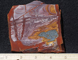 Bolo Jasper Slab 475