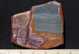 Bolo Jasper Slab 471