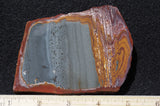 Bolo Jasper Slab 479