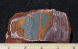 Bolo Jasper Slab 490