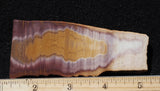 Bolo Jasper Slab 485