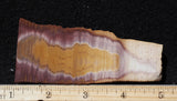 Bolo Jasper Slab 492