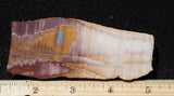 Bolo Jasper Slab 473