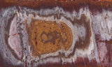 Bolo Jasper Slab 484