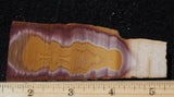 Bolo Jasper Slab 481