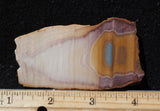 Bolo Jasper Slab 488