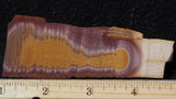 Bolo Jasper Slab 483