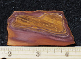 Bolo Jasper Slab 482