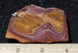 Bolo Jasper Slab 498