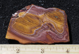 Bolo Jasper Slab 498