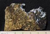 Yellow Feather Jasper Rock Slab 186