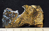 Yellow Feather Jasper Rock Slab 187