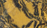 Yellow Feather Jasper Rock Slab 181