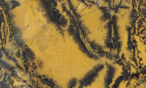 Yellow Feather Jasper Rock Slab 181