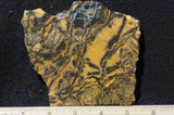 Yellow Feather Jasper Rock Slab 181