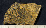 Yellow Feather Jasper Rock Slab 193