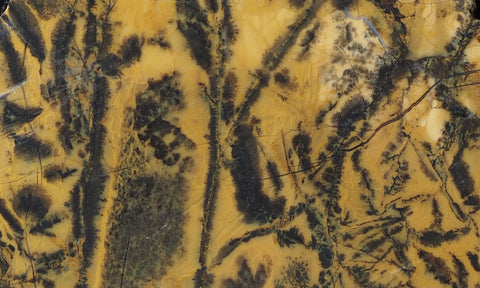 Yellow Feather Jasper Rock Slab 178
