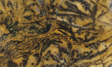 Yellow Feather Jasper Rock Slab 188