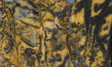 Yellow Feather Jasper Rock Slab 189