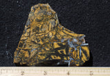 Yellow Feather Jasper Rock Slab 189