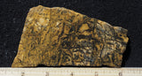 Yellow Feather Jasper Rock Slab 194