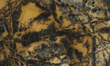 Yellow Feather Jasper Rock Slab 194