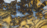Yellow Feather Jasper Rock Slab 182
