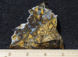 Yellow Feather Jasper Rock Slab 182