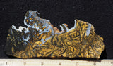 Yellow Feather Jasper Rock Slab 185