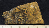 Yellow Feather Jasper Rock Slab 191