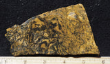 Yellow Feather Jasper Rock Slab 191