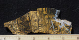 Yellow Feather Jasper Rock Slab 185