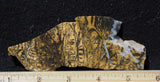 Yellow Feather Jasper Rock Slab 185