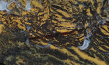 Yellow Feather Jasper Rock Slab 192