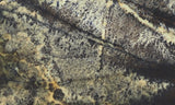 Yellow Feather Jasper Rock Slab 168
