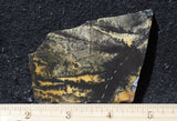 Yellow Feather Jasper Rock Slab 168