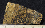 Yellow Feather Jasper Rock Slab 179